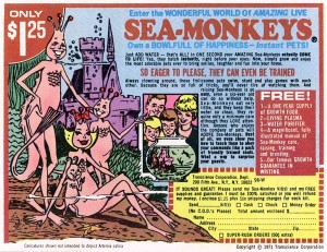 The sea-monkey family: heteronormative, or queer as f***?